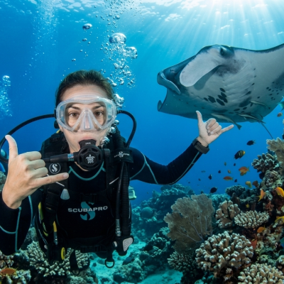 Diver exploring marine life underwater in the Adriatic Sea